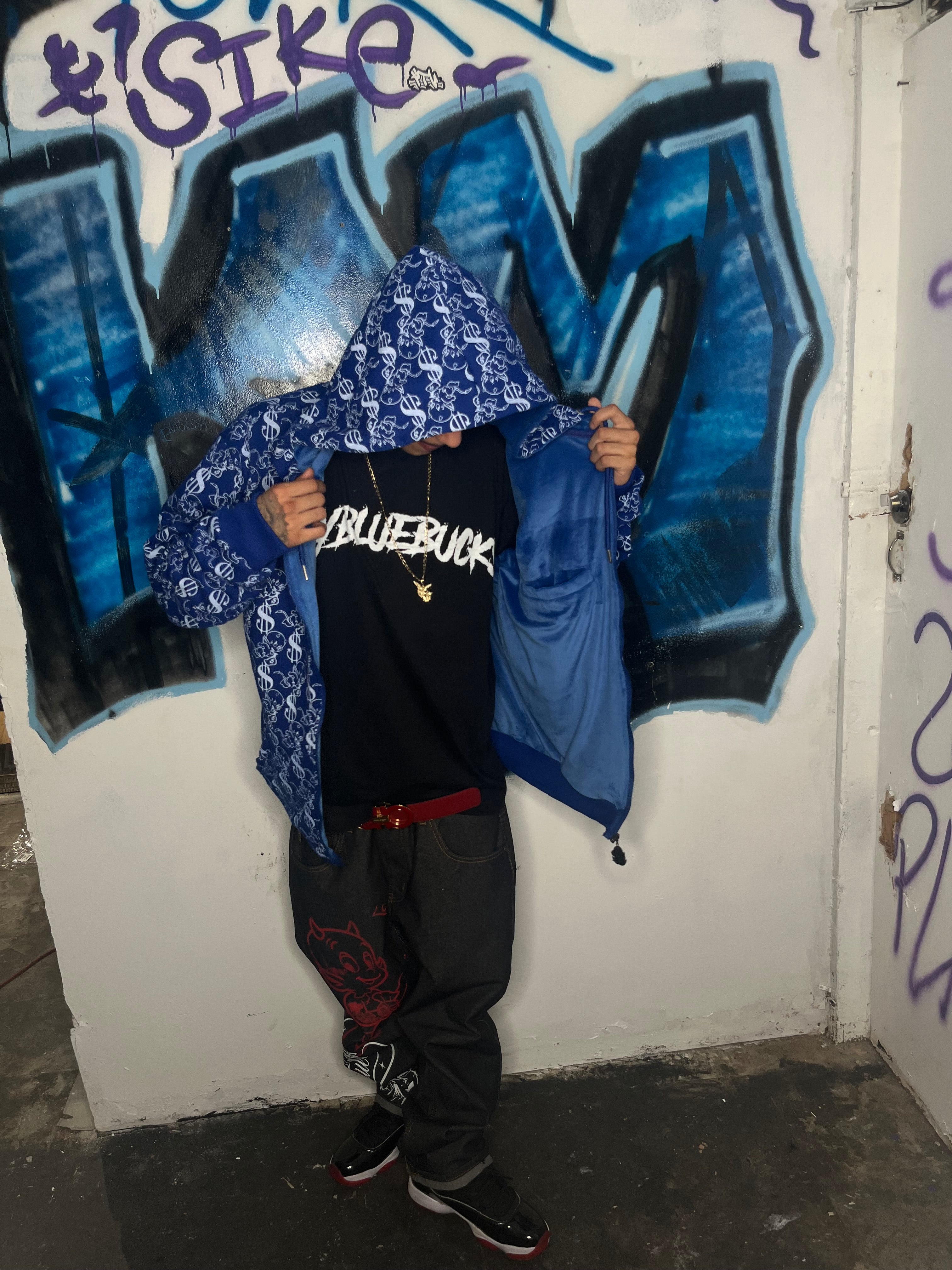 Dodger blue v1